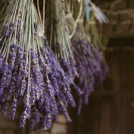 Kit de semences: Mon bouquet de fleurs séchées