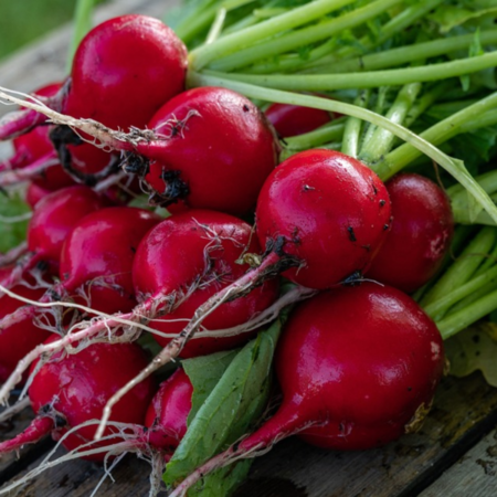 Kit semences: mon petit potager