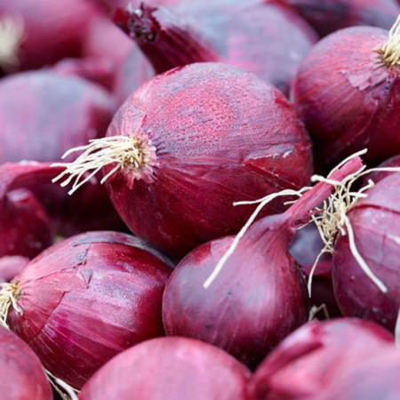 Zadenpakket: moestuin incl. boekje